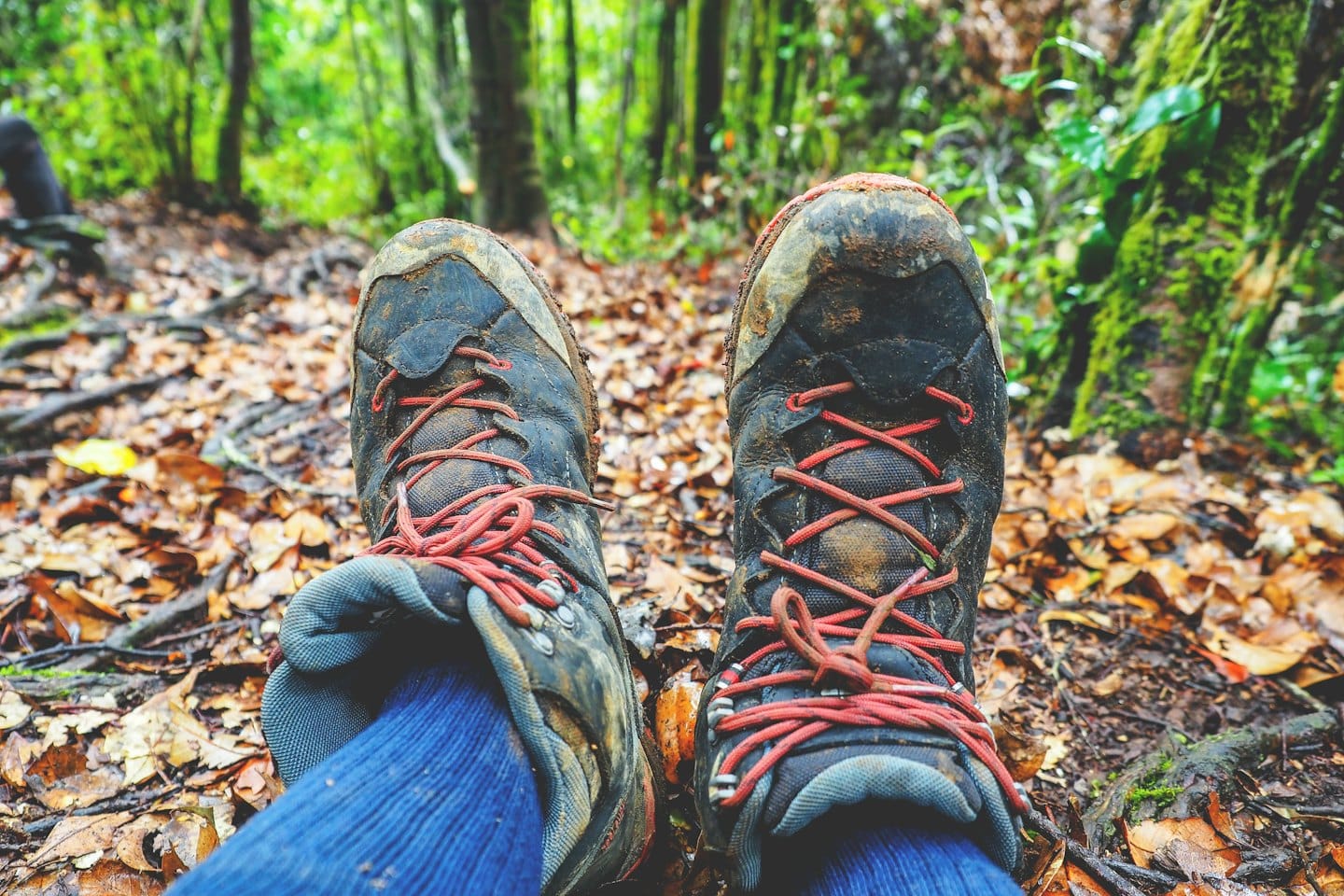 Muddy hiking boots with red laces rest on forest leaves.
