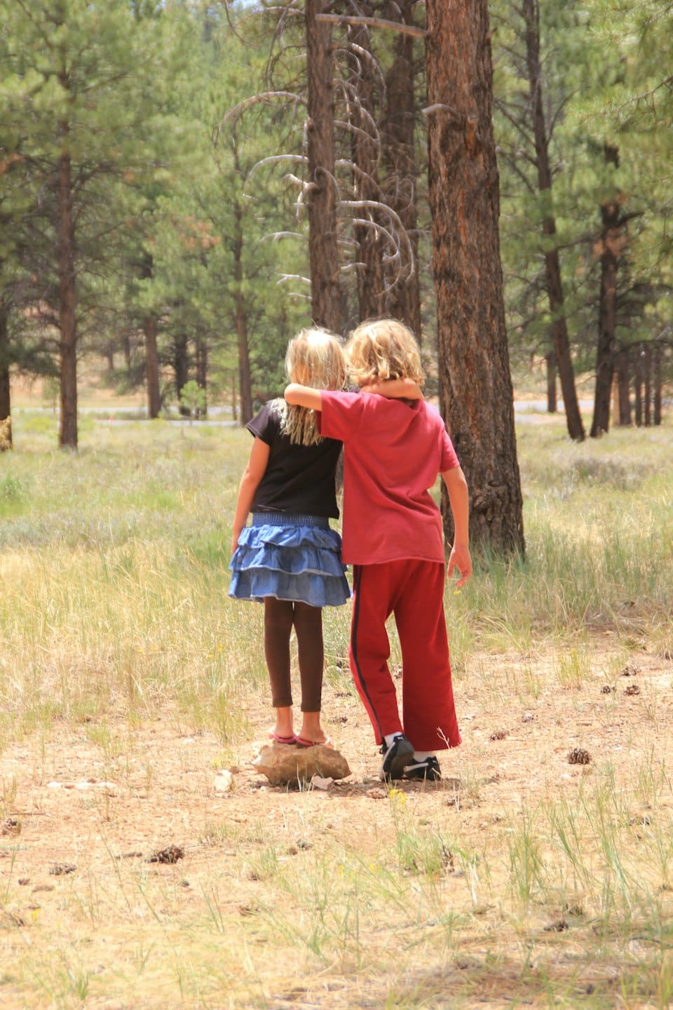 Two children walk hand-in-hand on a forest path.