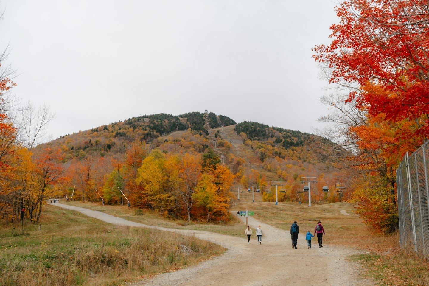 Four people walk toward a mountain with ski lifts in autumn.