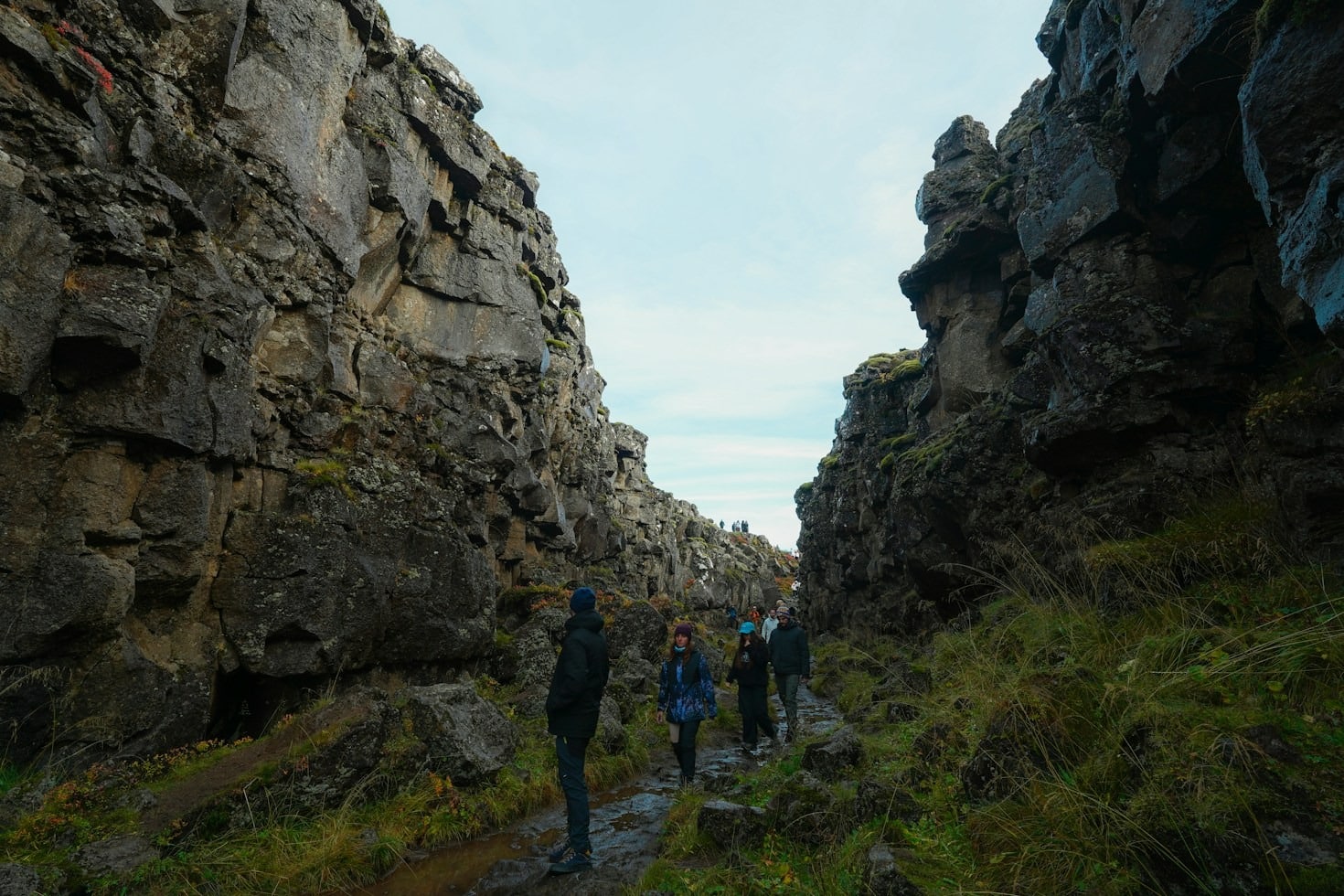 Rediscovering Old Roots on the Autumn Ridge Trail
